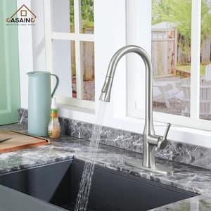 Single Handle Pull Down Sprayer Kitchen Faucet with Dual-Function Pull out Sprayer in Brushed Nickel