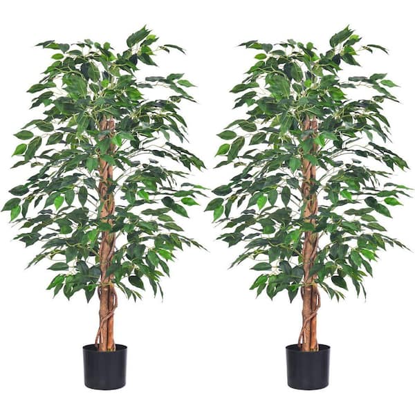 planta dracaena Dracaena Marginata Tree Houseplant with Planter - Large (2' to 3' tall) Cream Planter main image 1
