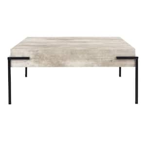 Eli 31.5 in. Light Gray Faux Concrete/Black Square Wood Coffee Table