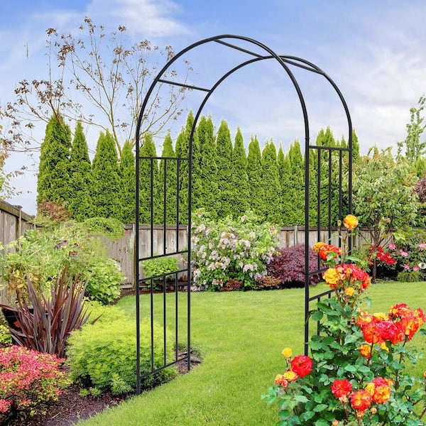 Unbranded - Black Series Outside Dimensions: 85.83 in. x 42.24 in. Iron Gothic Arbor, Arbor