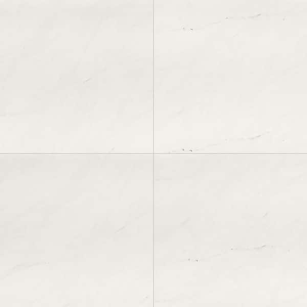 Alvara Ice 24 in. x 24 in. Polished Porcelain Floor and Wall Tile (16 sq. ft. / case)
