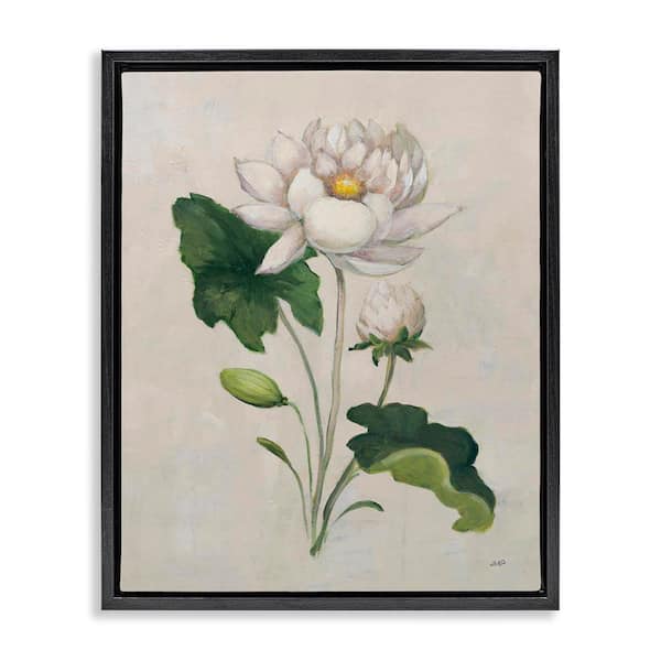 Graceful Budding Lily by Julia Purinton Black Floater Frame Nature Graphic Art Print 21 in. x 17 in.