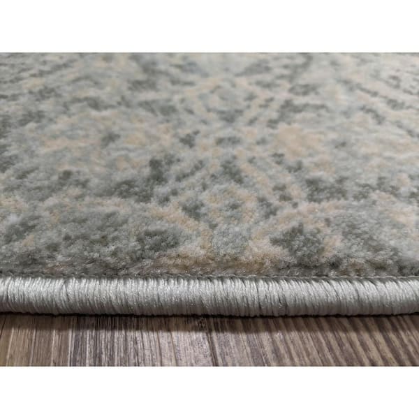 Colosseo Green 5 ft. x 7 ft. Traditional Oriental Vintage Area Rug