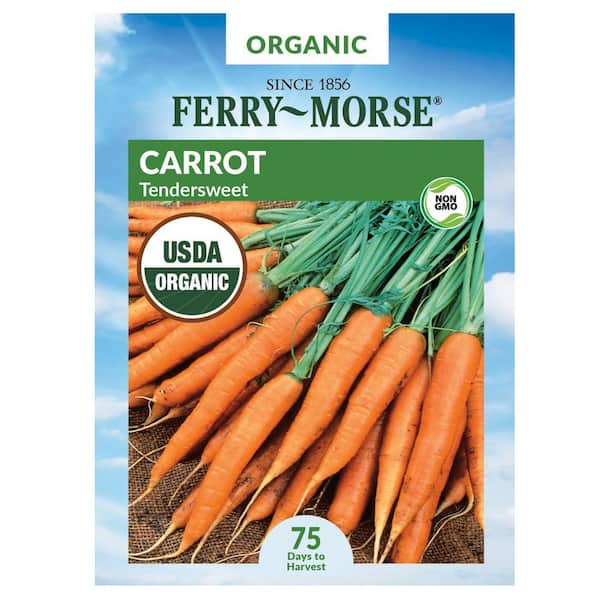 Organic Carrot Tendersweet Vegetable Seed