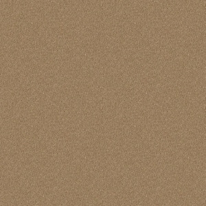 Watercolors I - Honeycomb - Brown 28.8 oz. Polyester Texture Installed Carpet