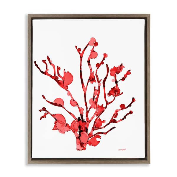 Stupell Industries Coral With Splashes by Patti Mann Brown Floater Frame Coastal Graphic Art Print 31 in. x 25 in.