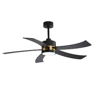 Anselm 52 in. Integrated LED Indoor Black and Gold Ceiling Fan with Light and Remote Control Included