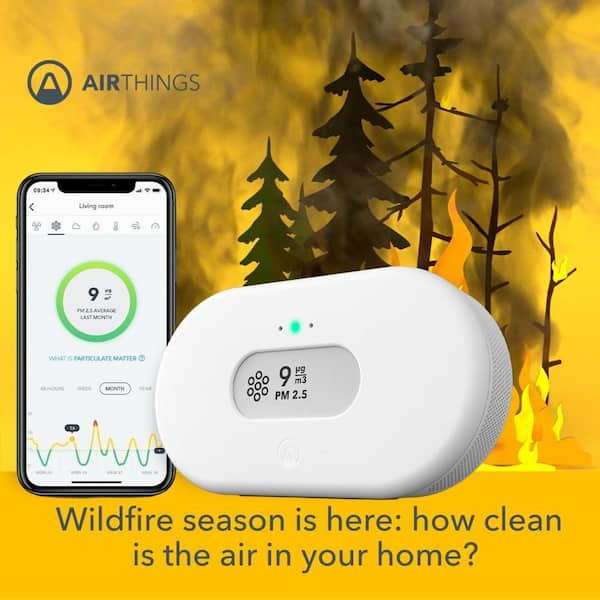 Airthings View Plus Battery Operated Complete Smart Indoor Air Quality  Monitor with PM2.5, CO2 and Radon 2960 - The Home Depot
