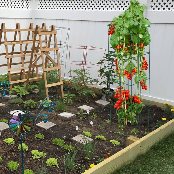 Tomato Cage - Large Trellis Stakes And Plant Support