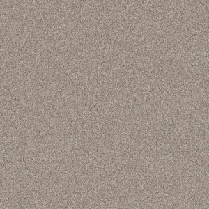 Piece Of Cake Warn Path Beige 33 oz. Solution Dyed Polyester Texture Installed Carpet