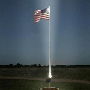 Apollo Solar Black LED Flag Pole Light 18-Watt 1980 Lumens 6000K