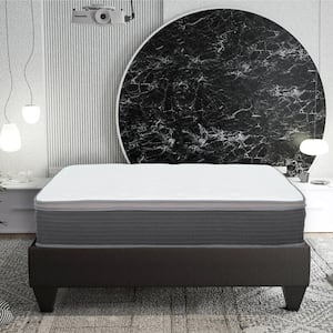 Equilibria 12 in. Medium Memory Foam & Pocket Spring Hybrid Euro Top Bed in a Box Mattress, Twin