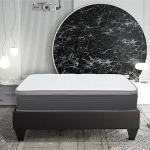Equilibria 12 in. Medium Memory Foam & Pocket Spring Hybrid Euro Top Bed in a Box Mattress, King
