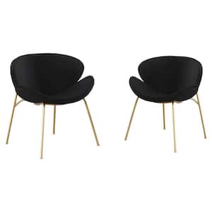 Black Velvet Upholstered Dining Chairs with Gold Metal Legs(Set of 2)