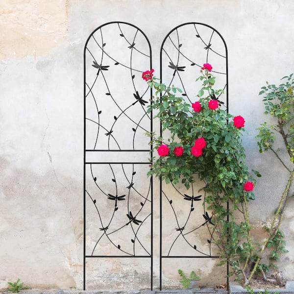 Unbranded 2-Pack 86.7 in. Black Metal Rustproof Trellis for Climbing Plants Decorative Outdoor Plant Support