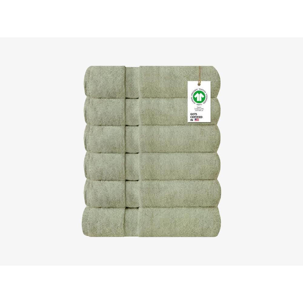 Feather Touch Quick Dry 20 in. x 30 in. Green Tint Solid 100% Organic Cotton 650 GSM Hand Towel (Pack of 6) price history on PriceWatchPro