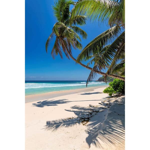 Yosemite Home Decor La Playa II Unframed Color Coastal Photography Wall Art 47 in. x 32 in.