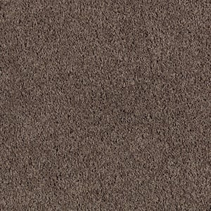 Ambrosina II  - Wilderness - Brown 38 oz. Triexta Texture Installed Carpet