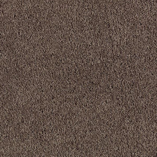 Lifeproof Ambrosina II  - Wilderness - Brown 38 oz. Triexta Texture Installed Carpet