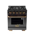Gemstone Professional 30 in. 4.2 cu. ft. 4-Burners Natural Gas Range with Convection Oven in Titanium Stainless Steel
