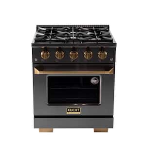Gemstone Professional 30 in. 4.2 cu. ft. 4-Burners Natural Gas Range with Convection Oven in Titanium Stainless Steel