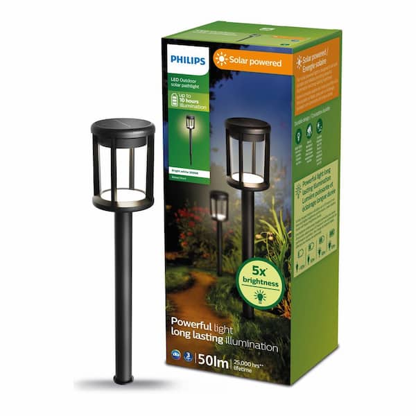 Reina Outdoor Solar Integrated LED Path Light Black High Brightness Weather Resistant Path Light (1-Pack)