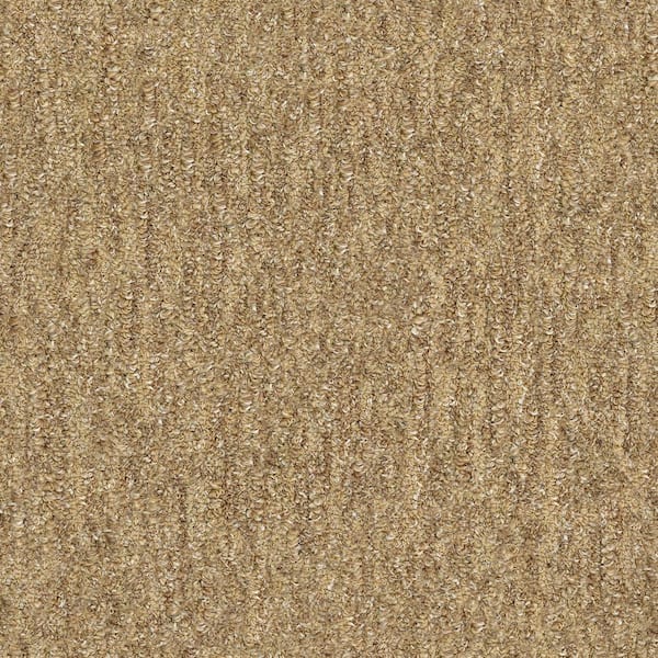 Lifeproof Port Isabel - Vintage Charm - Brown 15 ft. 46.8 oz. SD Nylon Pattern Installed Carpet