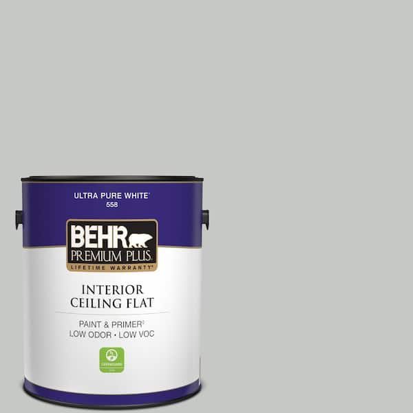 1 gal. #BNC-07 Frosted Silver Ceiling Flat Interior Paint