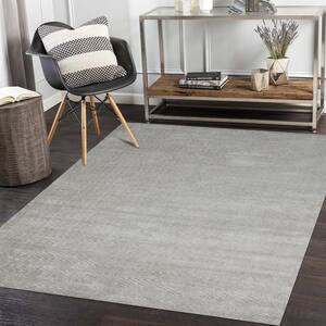 Chevelle Contemporary Modern Bone 9 ft. x 12 ft. Hand-Knotted Area Rug