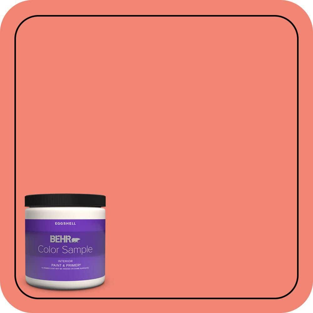 8 oz. #T16-07 Coralette Eggshell Enamel Interior Paint & Primer Color Sample product image for price tracking