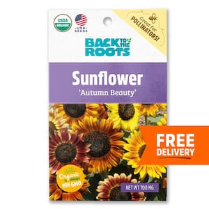 Organic Autumn Beauty Sunflower Seed (1-Pack)