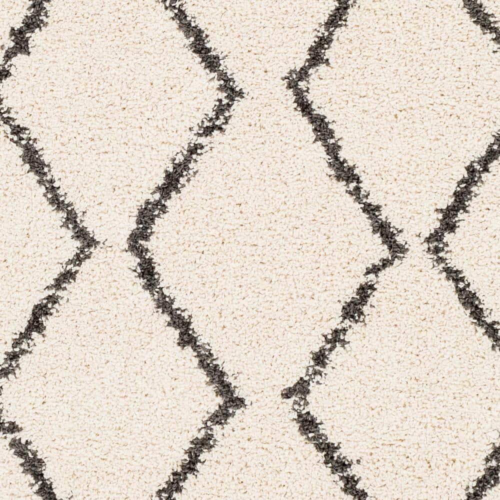Beige and Black Braided Shag Rectangular Area Rug 5' x 7'