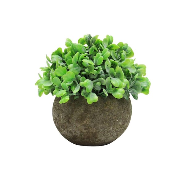 4.5 in. Frosted Green Artificial Boxwood Grass Leaf Succulent Mix Small Plant Topiary in Pot (Set of 3)