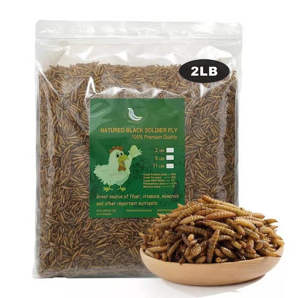 Euchirus 2 lbs. Natural Dried Soldier Fly Larvae for Chickens, Ducks, Geese, Turkeys and more. 85X more calcium than mealworms