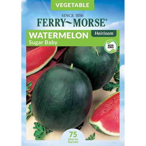 Ferry-Morse Watermelon Sugar Baby Fruit Seeds