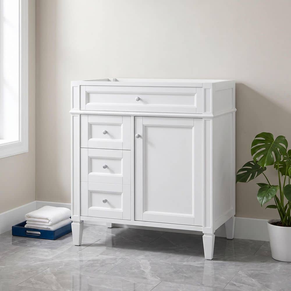 30 in. Bath Vanity Cabinet without Top in White with 2 Drawers and a Tip-out Drawer price history on PriceWatchPro