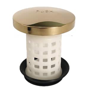 Universal Tub Drain Protector Strainer in Polished Brass