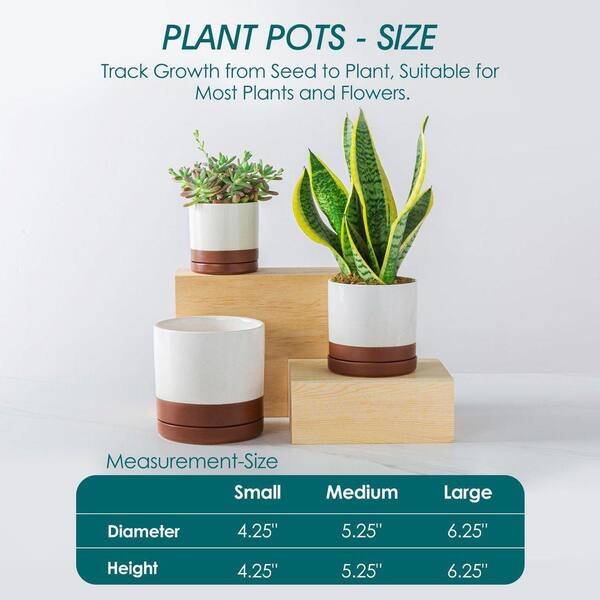 Unbranded Khaki Ceramic Plant Pots, 3-Piece Planters for Indoor Plants,  4.25 + 5.25 + 6.25 in. RT1055