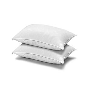 MicronOne Allergen Free Gel Fiber King Size Pillow Set of 2
