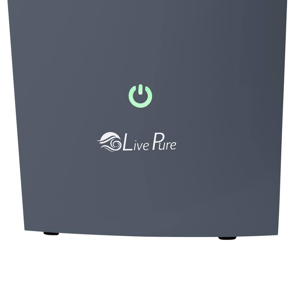 Graphite Ultrasonic Humidifier with Automatic Shutoff