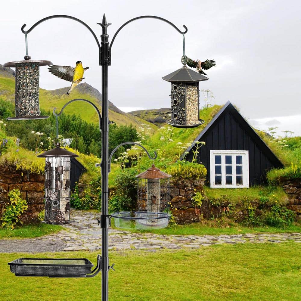 Tall Black Metal and Plastic Bird Feeding Station Kit