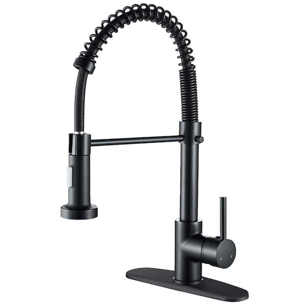 Zalerock Springs Single-Handle Pull-Down Sprayer Kitchen Faucet with Deckplate Included in Matte Black
