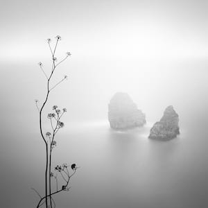 84 in. x 84 in. "Misty Rocks" by Alexandre Manuel Canvas Wall Art