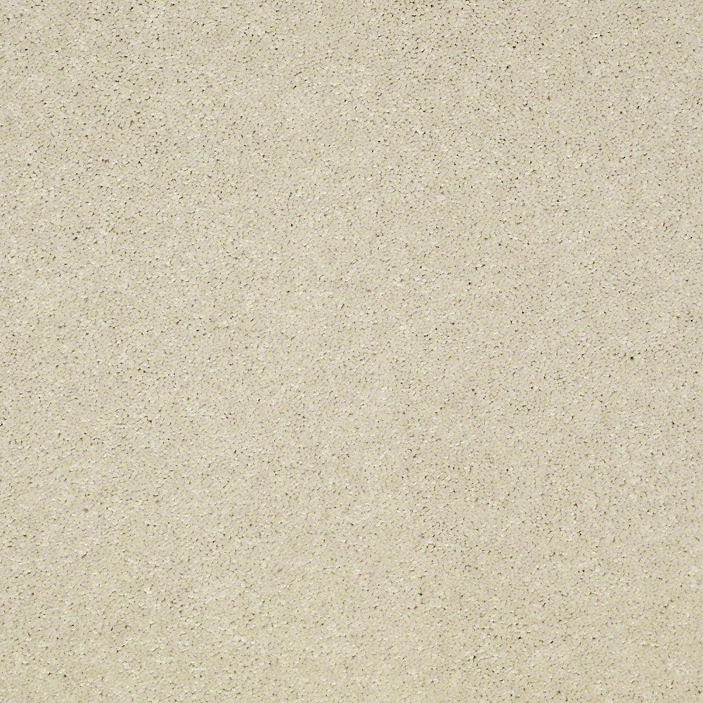 8 in. x 8 in. Texture Carpet Sample - Brave Soul II - Color Delicate price history on PriceWatchPro
