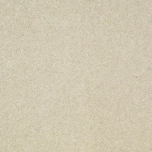 Brave Soul II - Delicate - Beige 44 oz. Polyester Texture Installed Carpet
