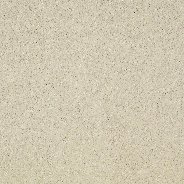 Home Decorators Collection Brave Soul II - Delicate - Beige 44 oz. Polyester Texture Installed Carpet