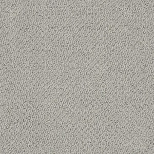 Dublin - Flannel - Gray 39.3 oz. Nylon Loop Installed Carpet