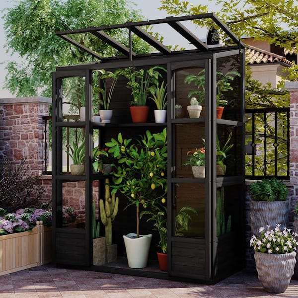4.8 ft. W x 2.4 ft. Outdoor Wooden Shed Greenhouse Cold Frame with 4 Skylights and 2 Folding Shelves Black (12 sq. ft.)