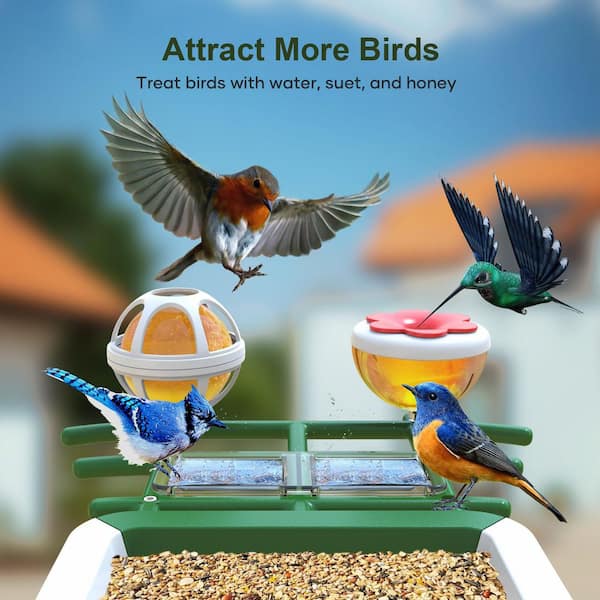 Smart Bird Feeder with Camera: Solar Powered Platform Feeder with AI Recognition,Outdoor Wireless Bird House with Camera
