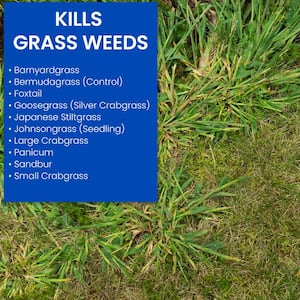 32 oz. Ready to Spray Extreme Crabgrass Killer for Lawns
